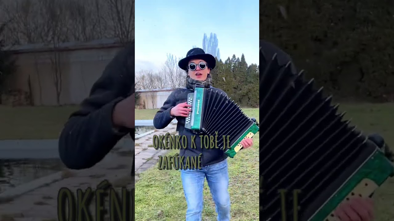 Fleret - Zafúkané (cover) Pavel Mucha
