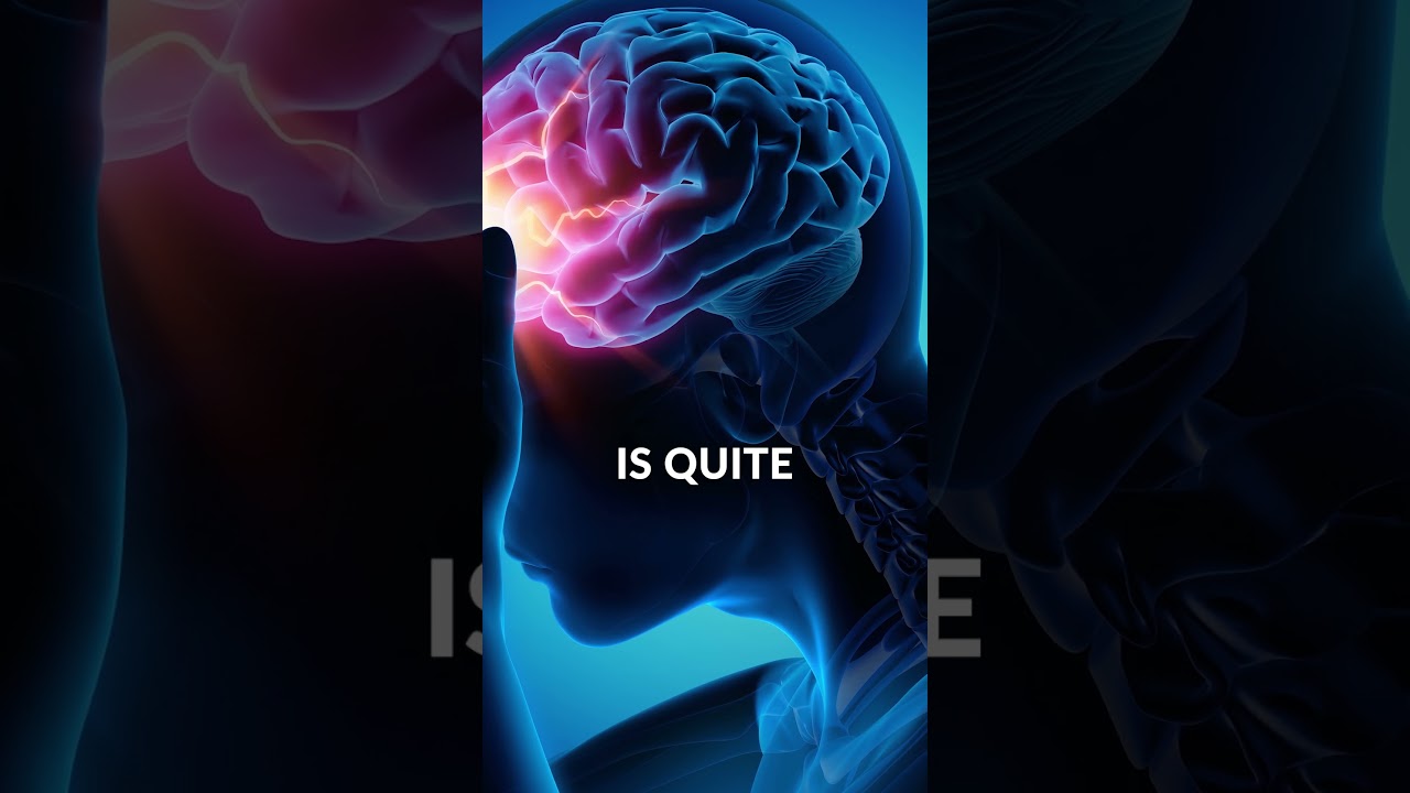 Neuroscience Expert Pete Larking on Traumatic Brain Injury
