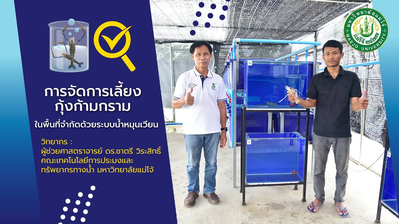 การจัดการเลี้ยงกุ้งก้ามกราม ในพื้นที่จำกัดด้วยระบบน้ำหมุนเวียน