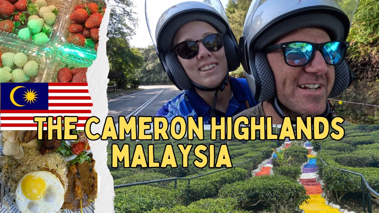 Finding FREEDOM in the CAMERON HIGHLANDS, Malaysia