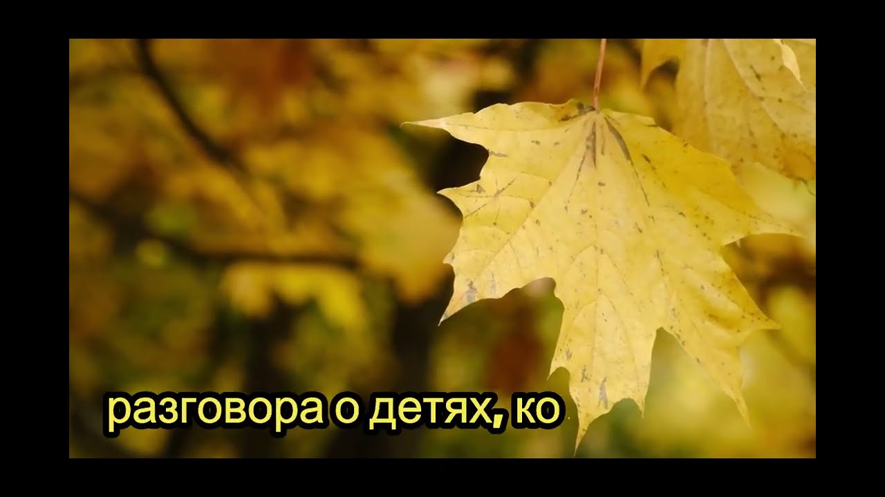 После развода я уехала… Но на его свадьбе раскрылась моя тайна — 30 пропущенных
