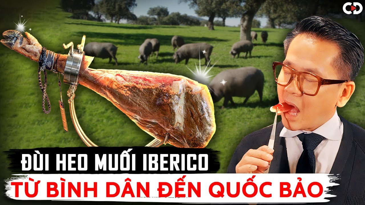 Đùi Heo Muối Iberico: 120 Triệu Cho Kiến Thức, Kinh Nghiệm Và Trải Nghiệm | CD Media Travel