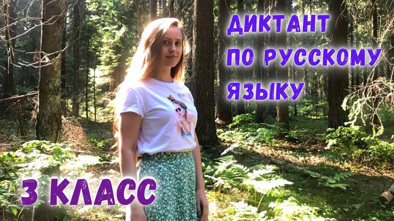Диктант по русскому языку 3 класс «Вечером в лесу»