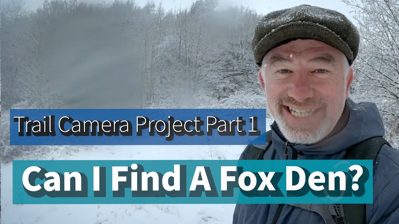 Can I Find A Fox Den - Trail Camera Project - UK Wildlife