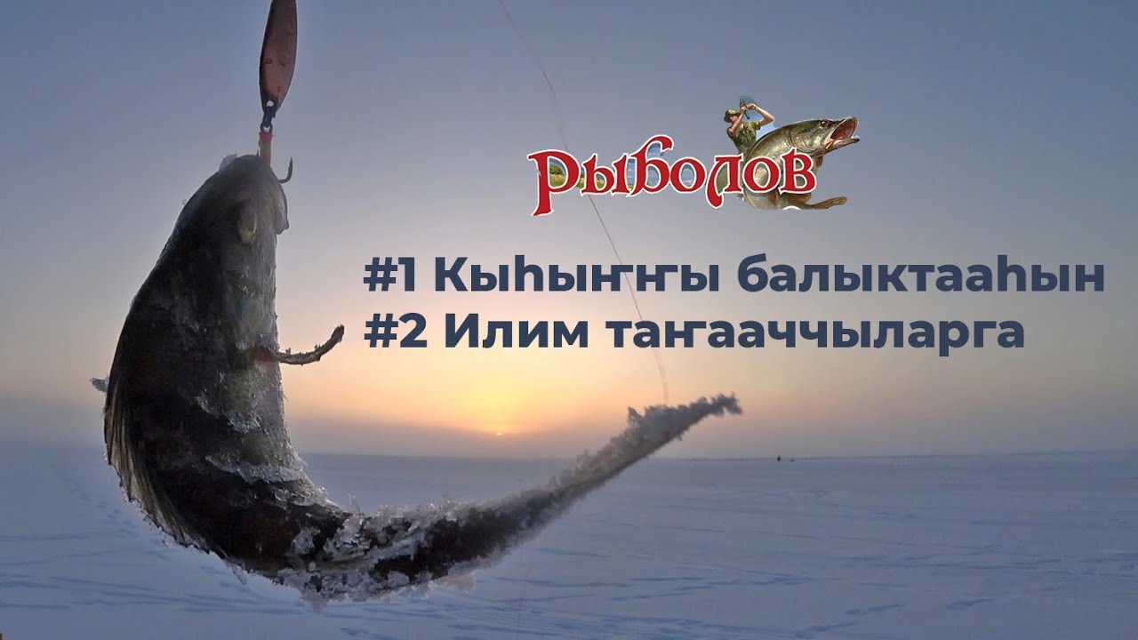 #1 Кыhыҥҥы балыктааhын / #2 Илим таҥааччыларга / РЫБОЛОВ