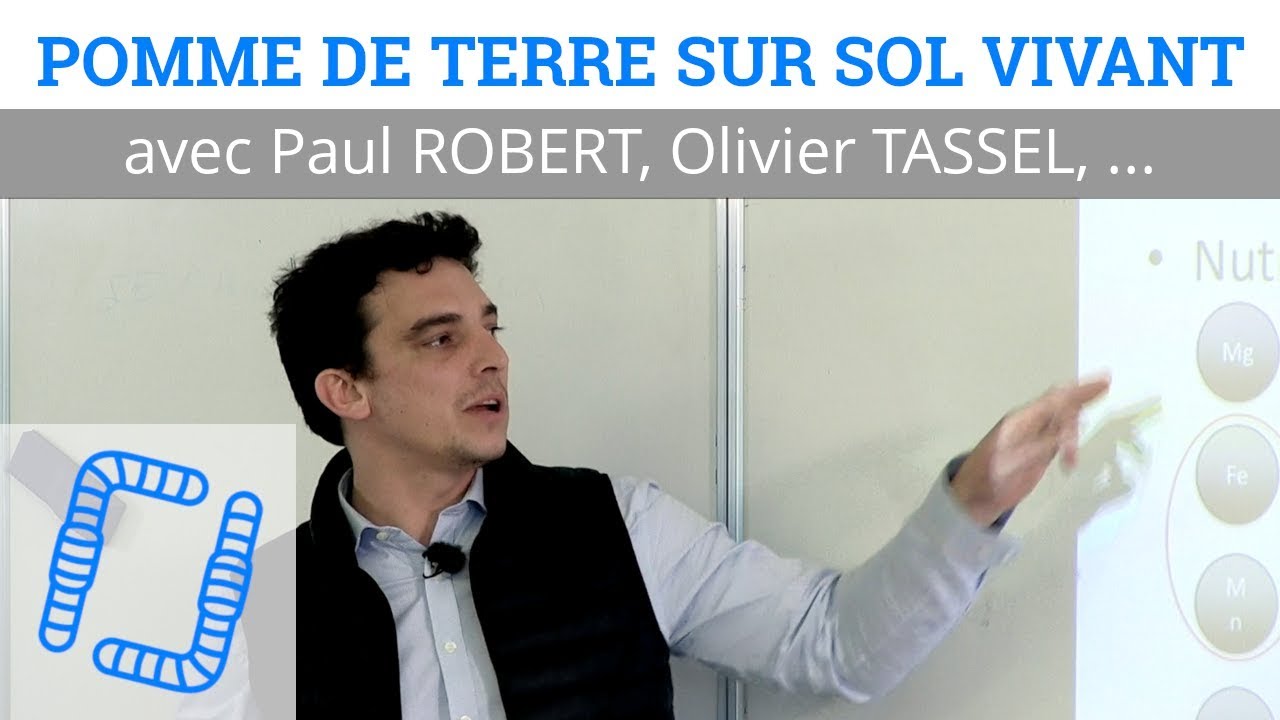 Pomme de Terre sur Sol Vivant - Itinéraires Techniques