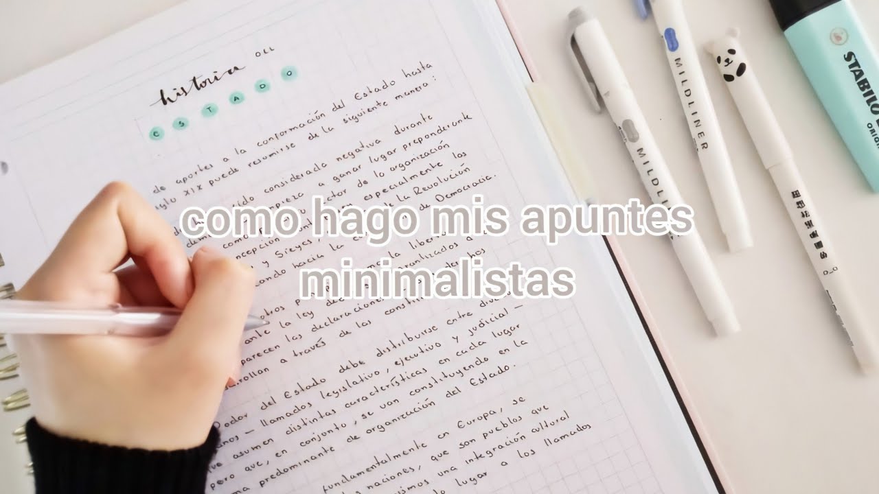 Como hago mis apuntes minimalistas | mis apuntes sencillos y ordenados