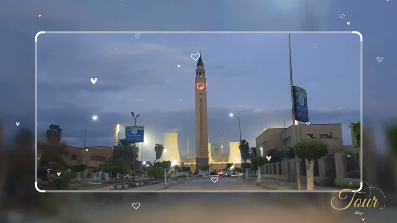 جولة في شوارع المحلة الكبري( شوارع قلعة الصناعة المصرية )