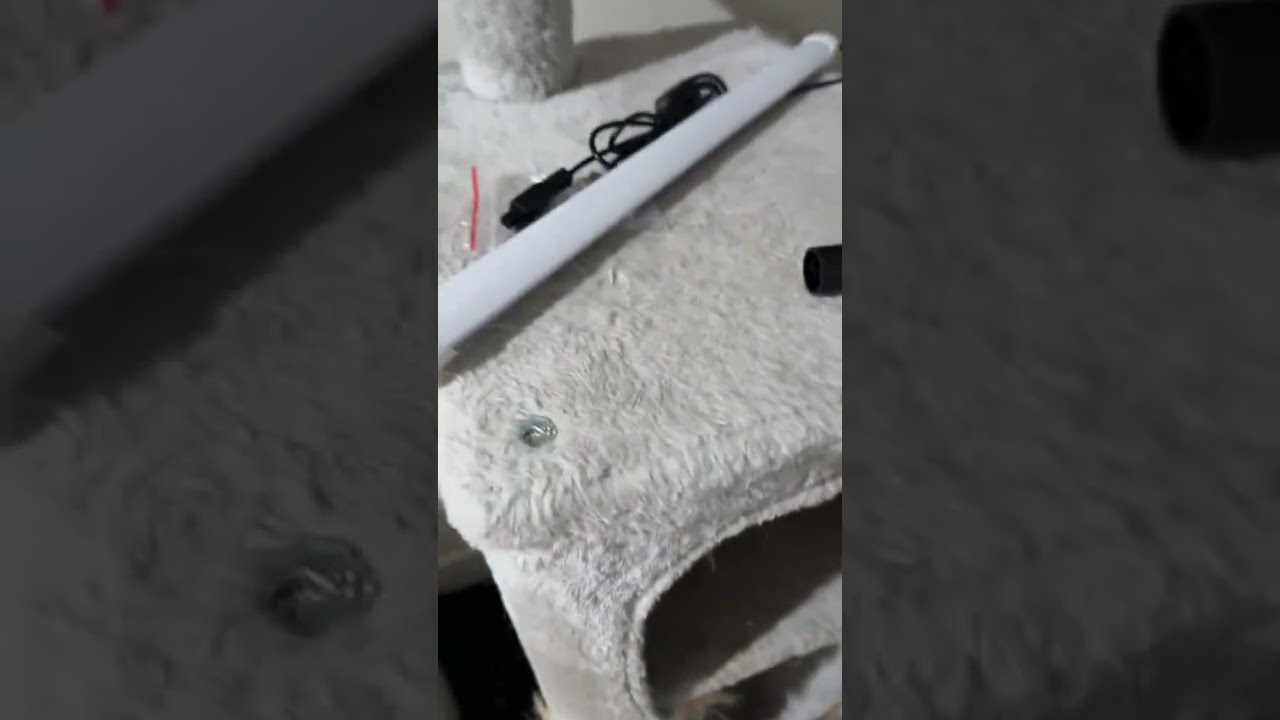 @chopperrobincats: Stop filming! Come rescue me! 