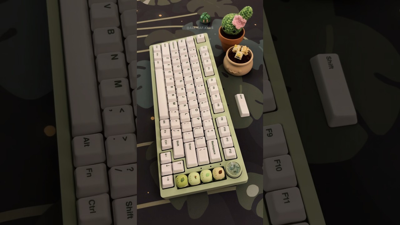 ceramic keycaps = the ultimate thock⋆⁺₊⋆★🌿#mechanicalkeyboard #keyboard #typing #thocky #asmr