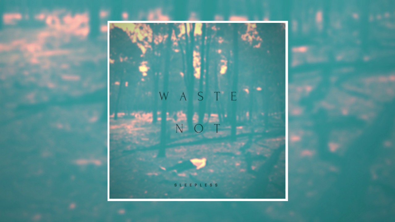 Waste Not - Sleepless