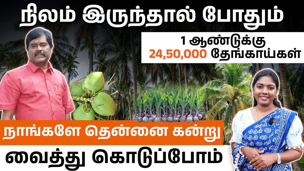 தென்னை வைக்குறவங்க இத பார்த்துட்டு தான் பண்ணுங்க! | Coconut Farm Planning Tips | Madhumitha🌴🔥