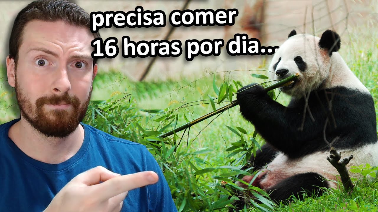 As piores EVOLUÇÕES da natureza...