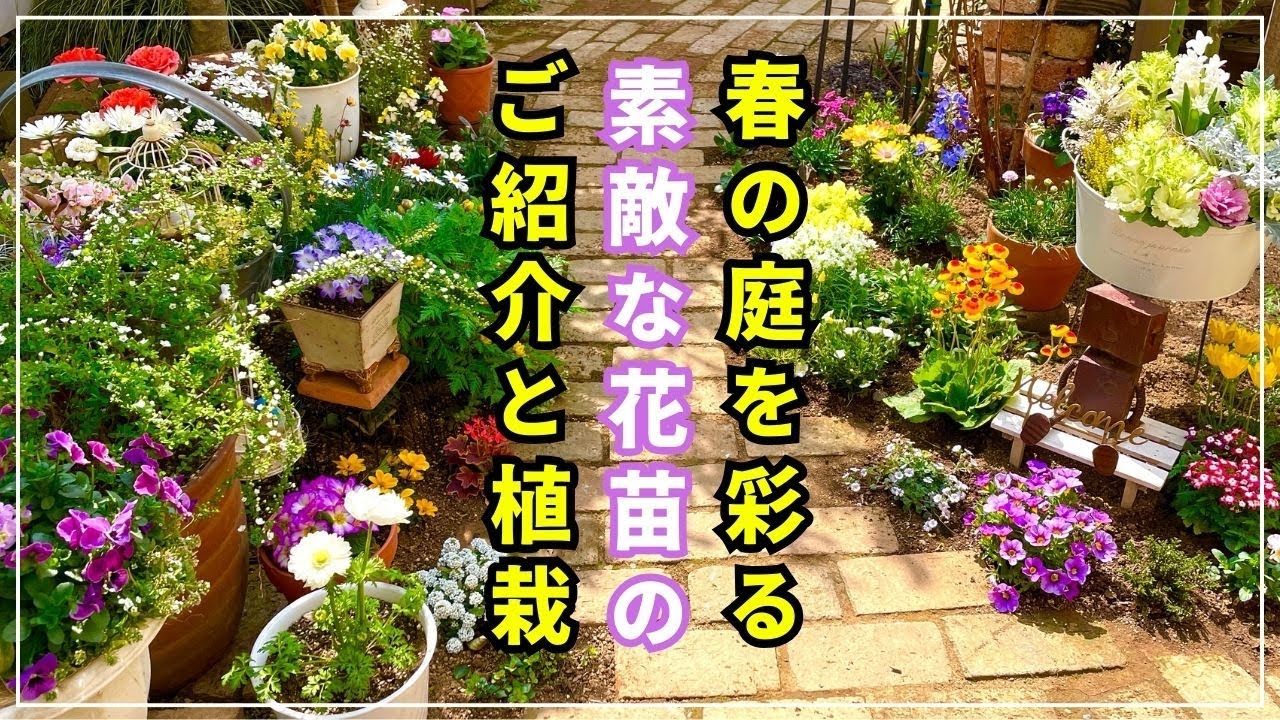 【春のガーデニング】全３８株を植え付けてパッと明るい春庭を作りました。
