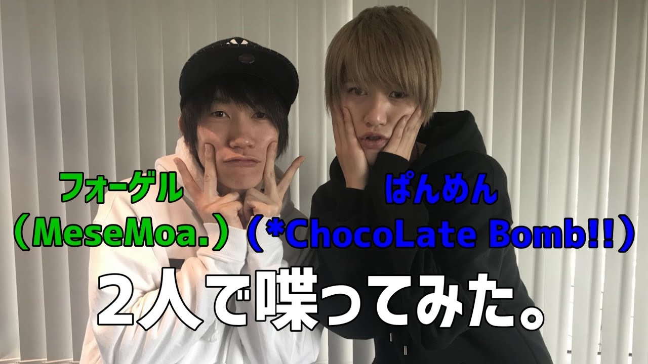 【フォーゲル×ぱんめん】2人で喋ってみた。【9日目】
