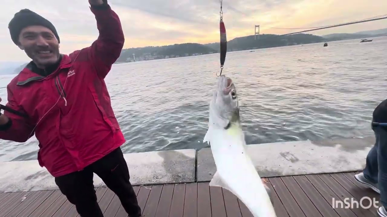Kurşun arkası Levrek,Lüfer,Sarıkanat,Çinekop avı  #vlog #fishing #fish #istanbul #automobile #travel