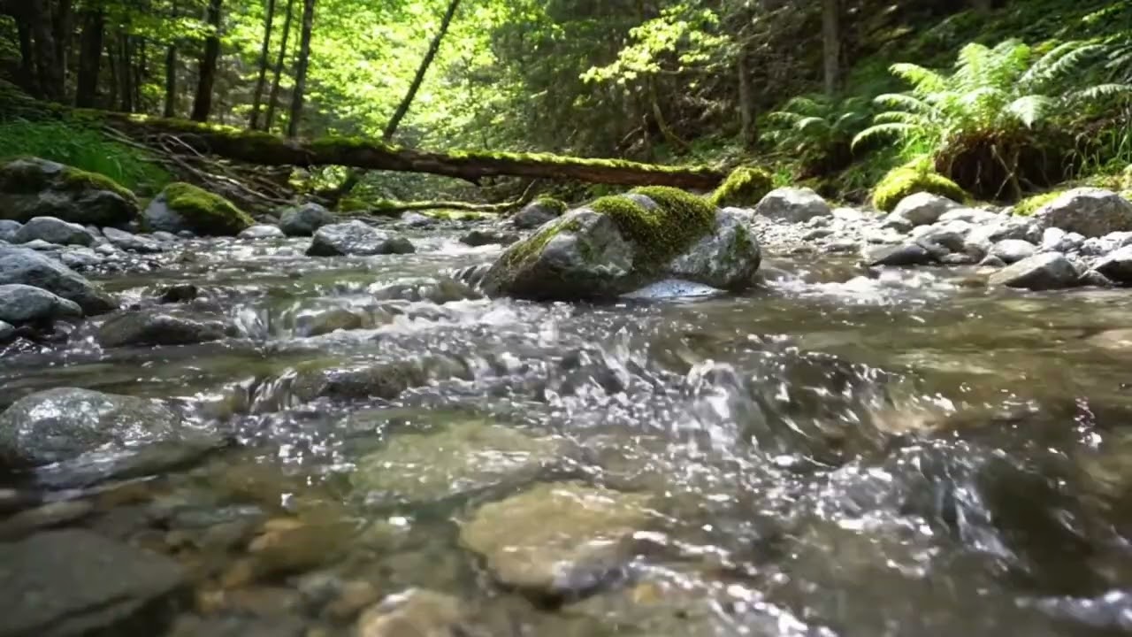 Tranquil River Sounds for Stress Relief and Relaxation HD