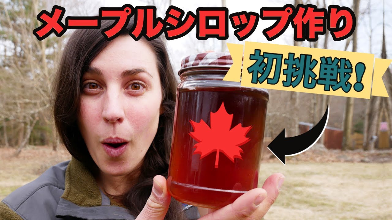 庭でメープルシロップ作ってみた！｜Making Maple Syrup in My Backyard!
