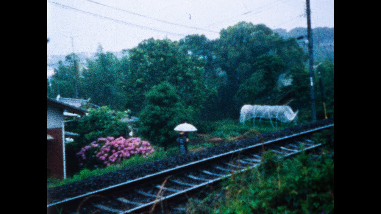 Paillard Bolex L8 Yvar 12.5mm / Kodak 100D / MINAMATA in the rain 2012