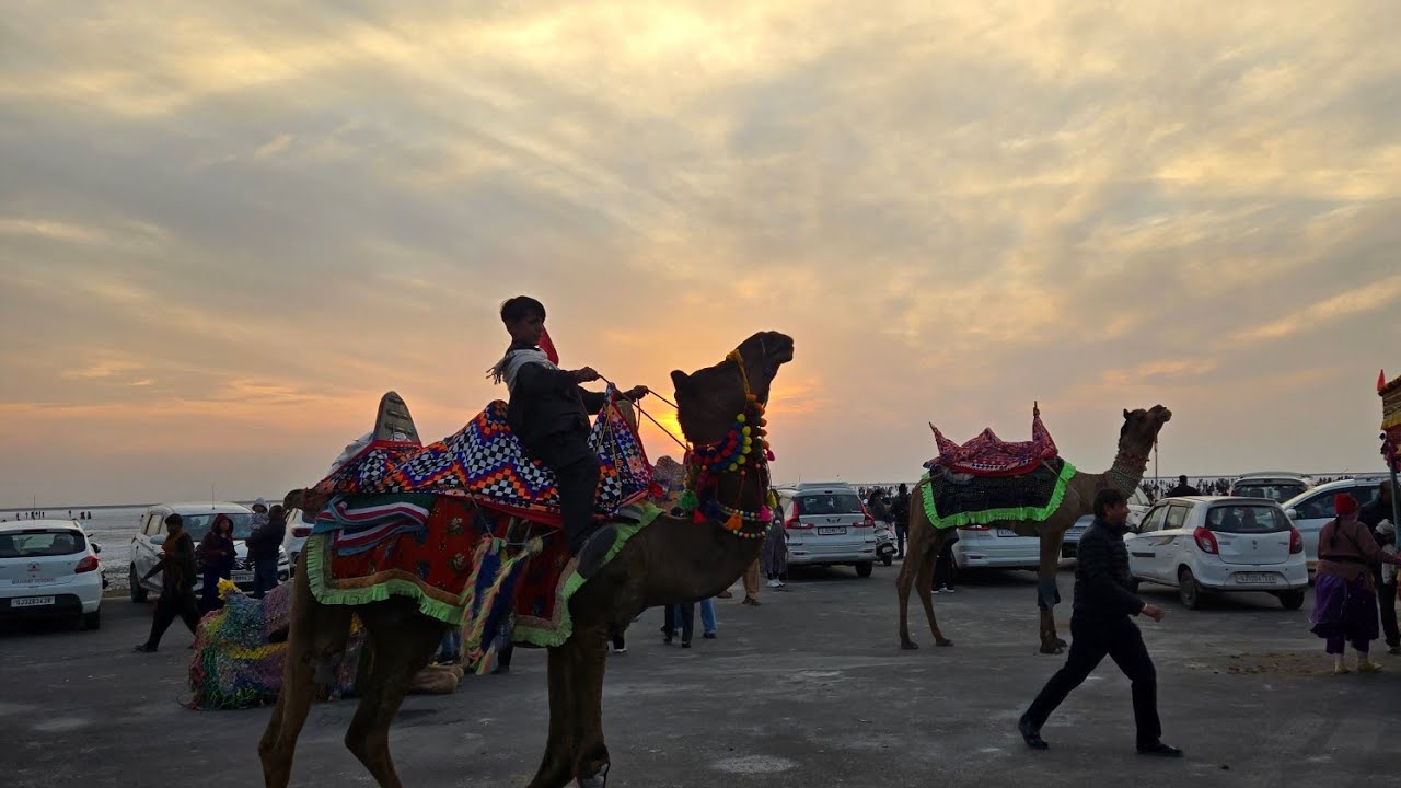 Rann of Kutch Vlog
