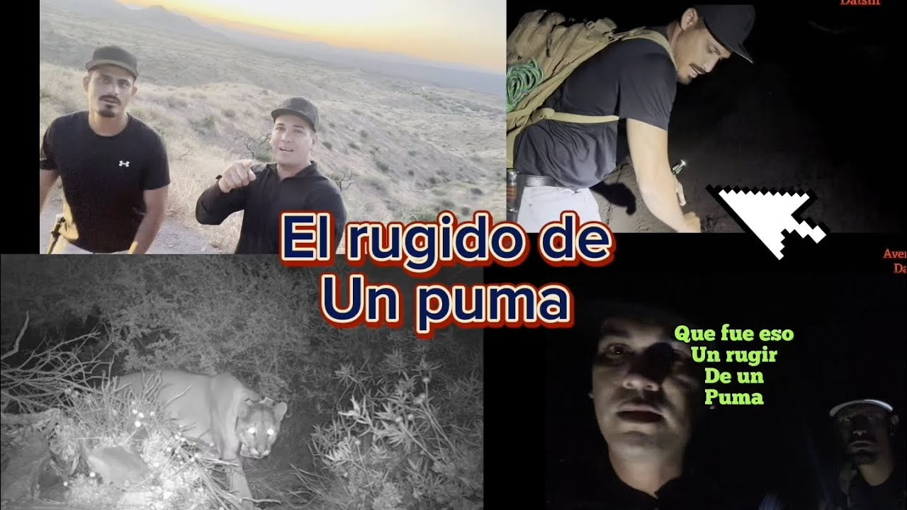 no creiran lo que  pasó aventura#21 en territorio del tuerto
