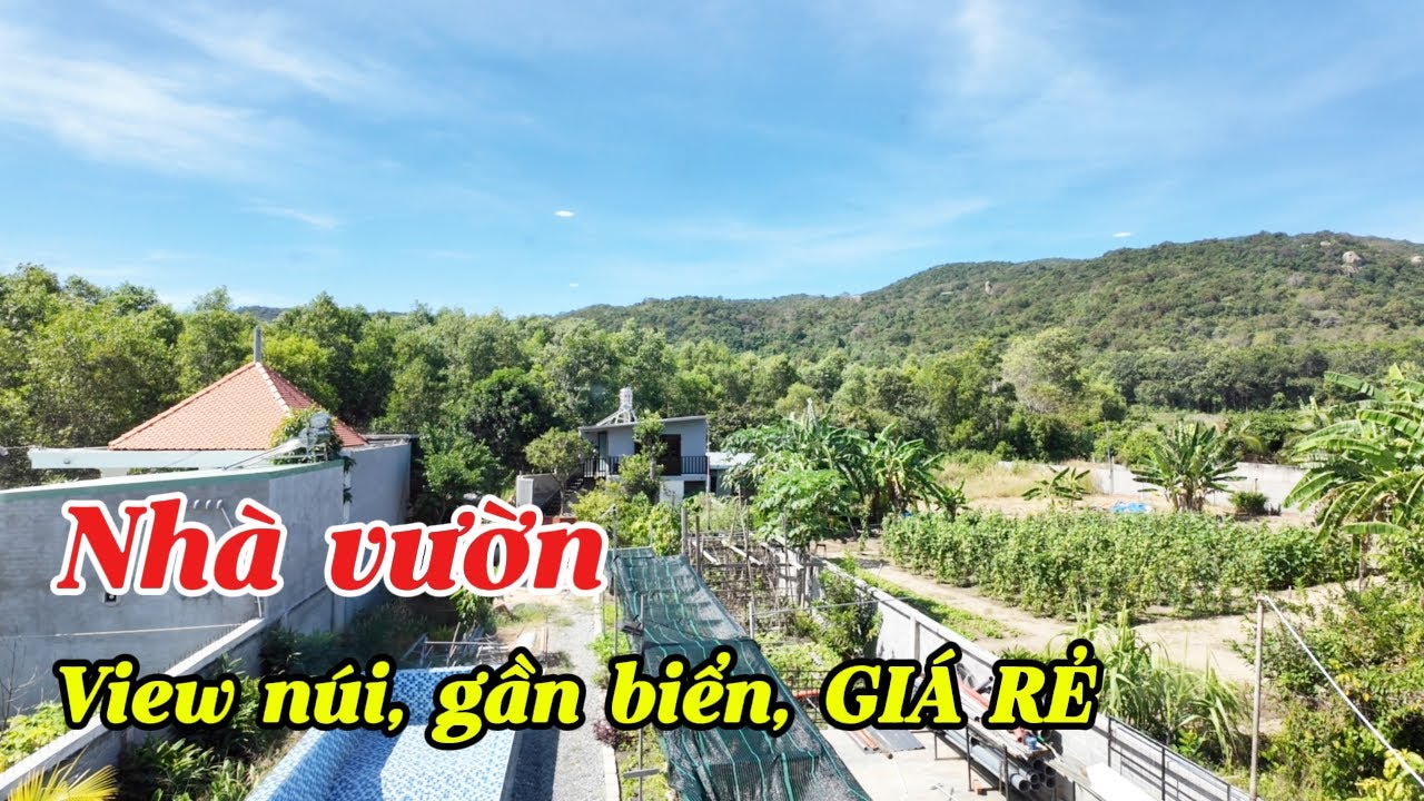Về Quê Bán Rẻ ! Nhà Vườn Gần Biển Tại Bà Rịa Vũng Tàu Lưng Tựa Núi ( Xã Phước Hải, TP HCM ) 5.6 Tỉ