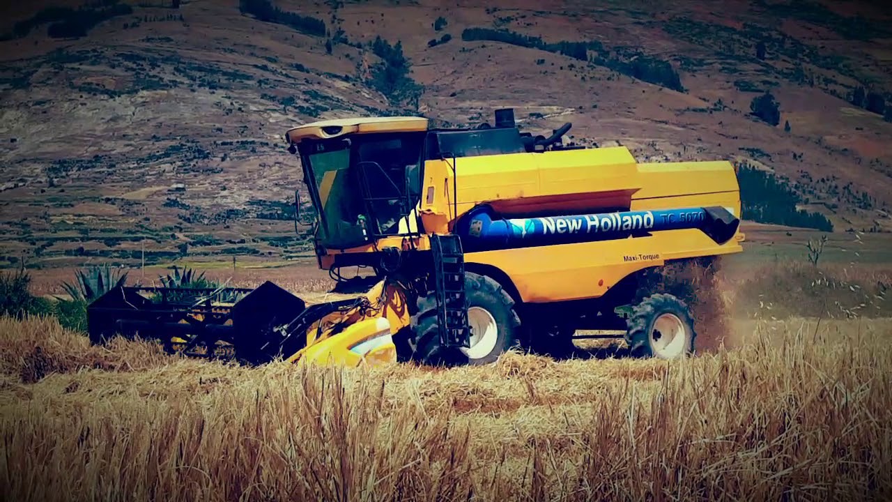 Cosechadora Perú, New Holland tc5070 cebada 2018