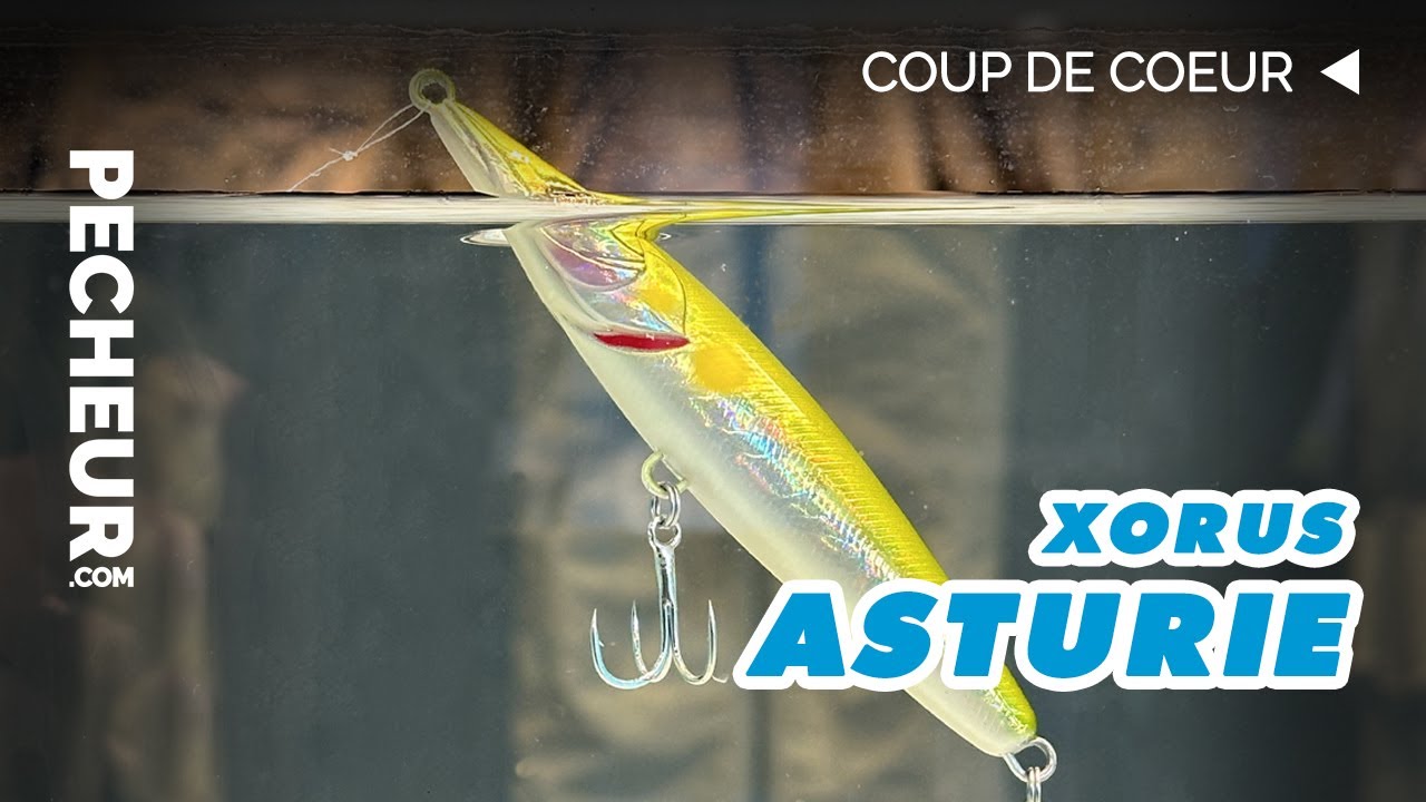 Asturie de Xorus