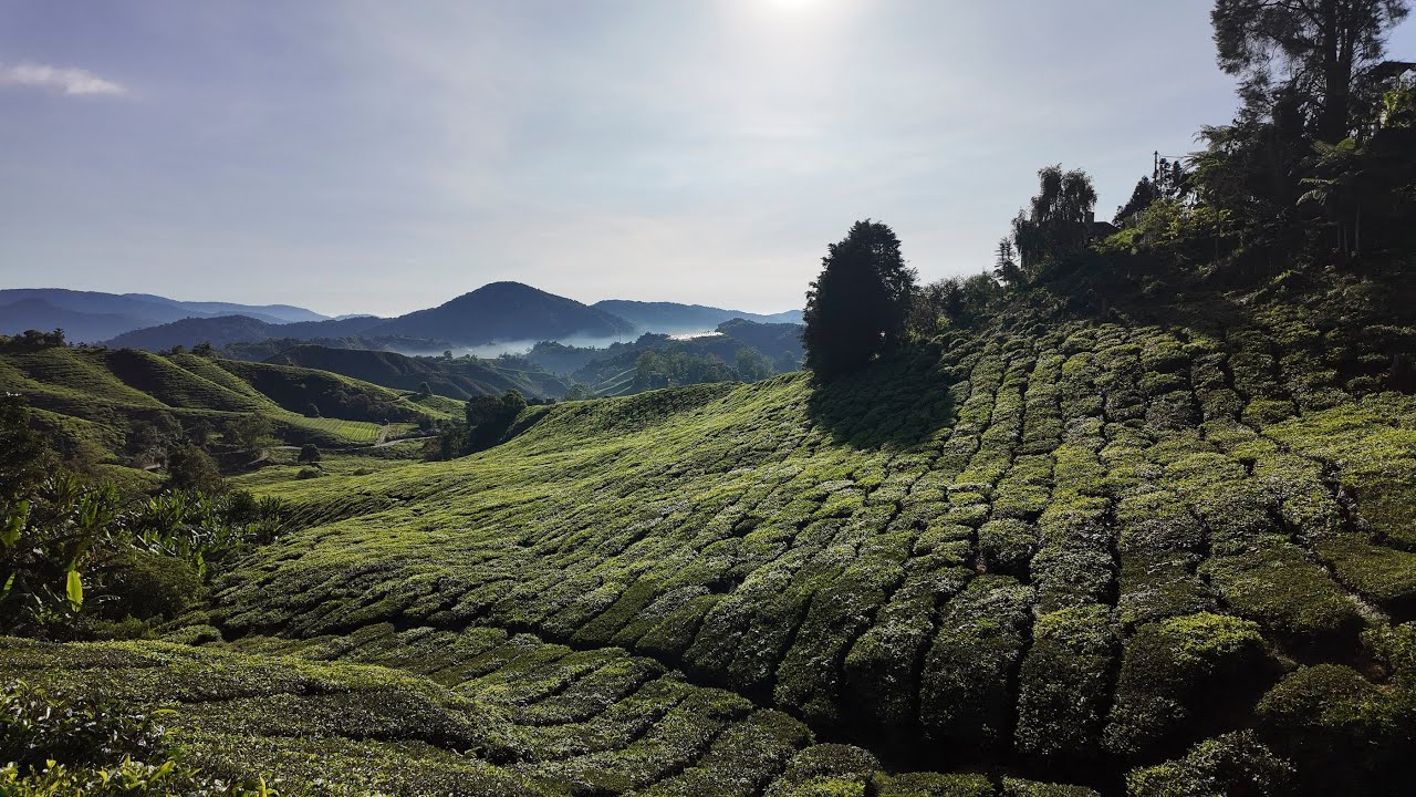 Malaysia Trendtours