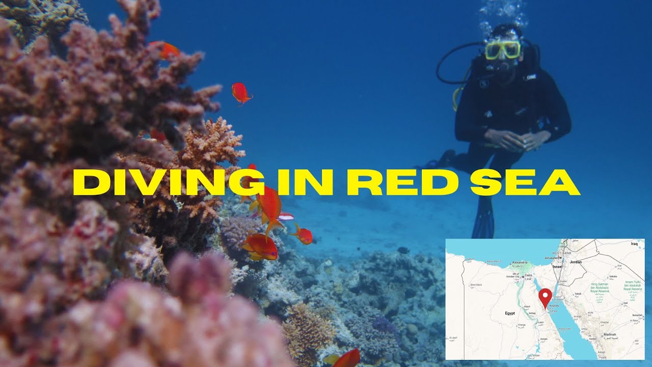 Egypt’s SCUBA DIVING Red Sea |  Hurghada Stunning Underwater World | diving school ? cost ?
