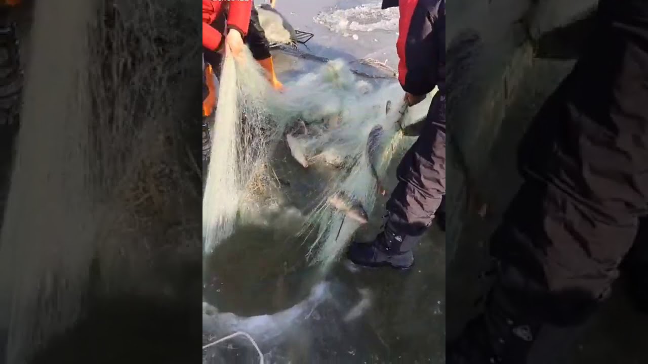 Fishing with nets from inside the ice hole