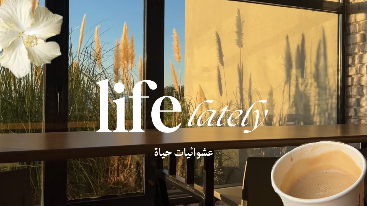 عشوائيات في الغربة | vlog 2