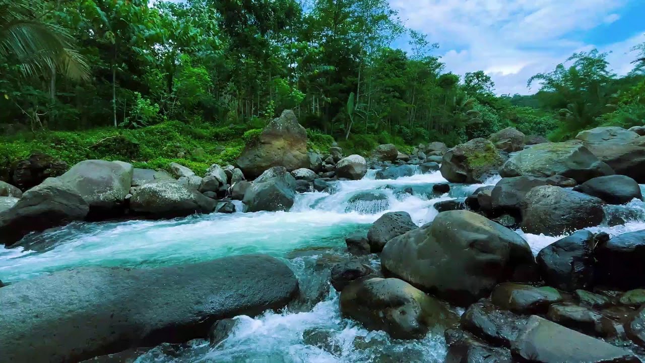Relaxing Nature Sounds by the River | Deep Sleep & Calm Mind