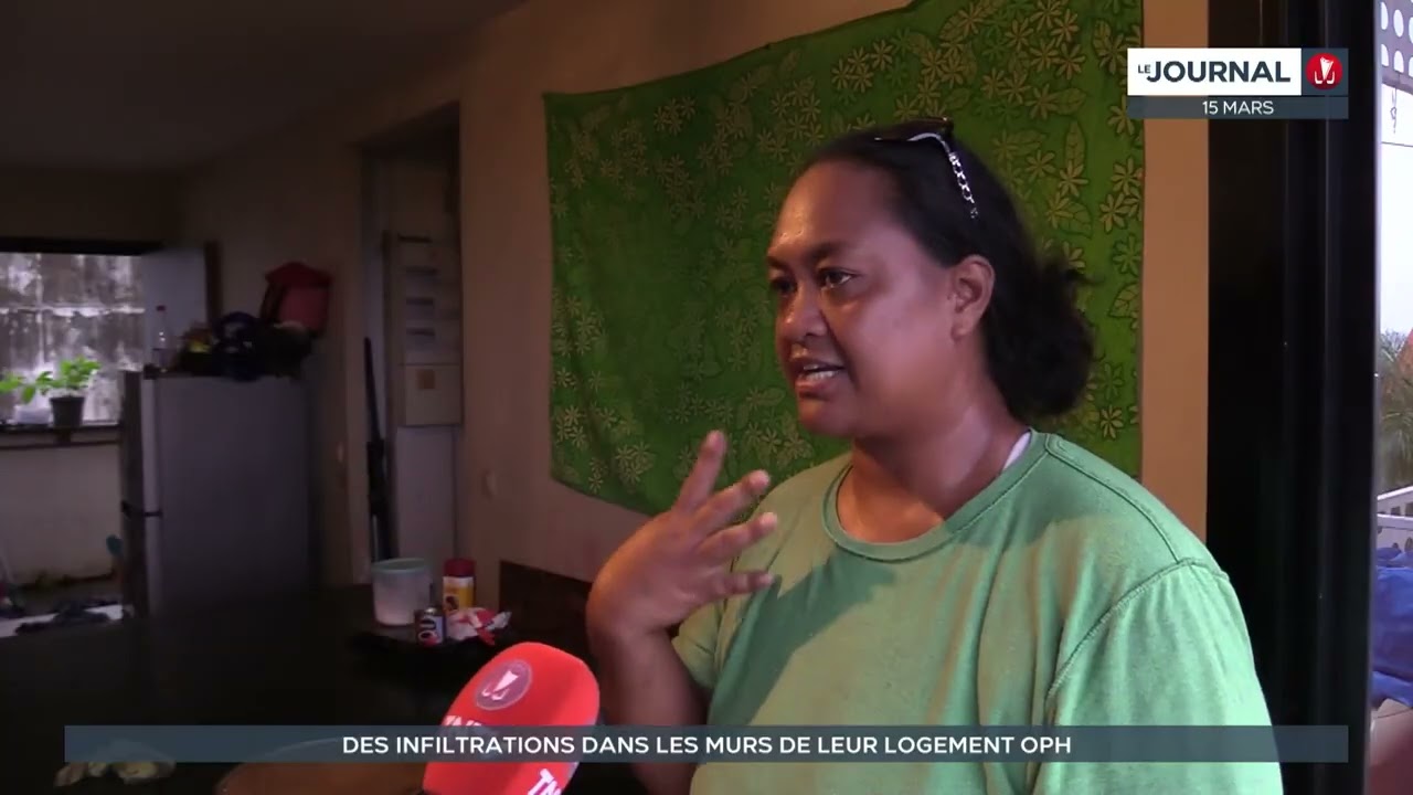 Des infiltrations dans les murs de leur logement OPH