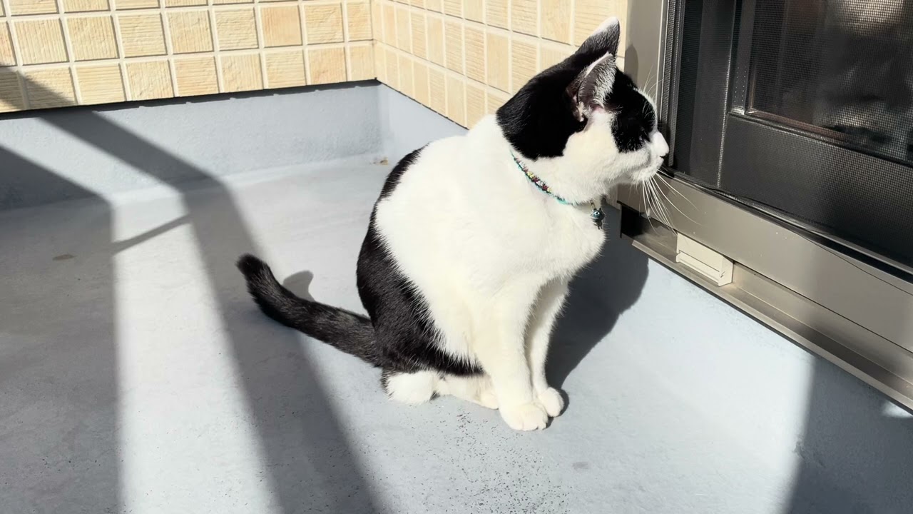 ぽかぽか天気☀️日向ぼっこ