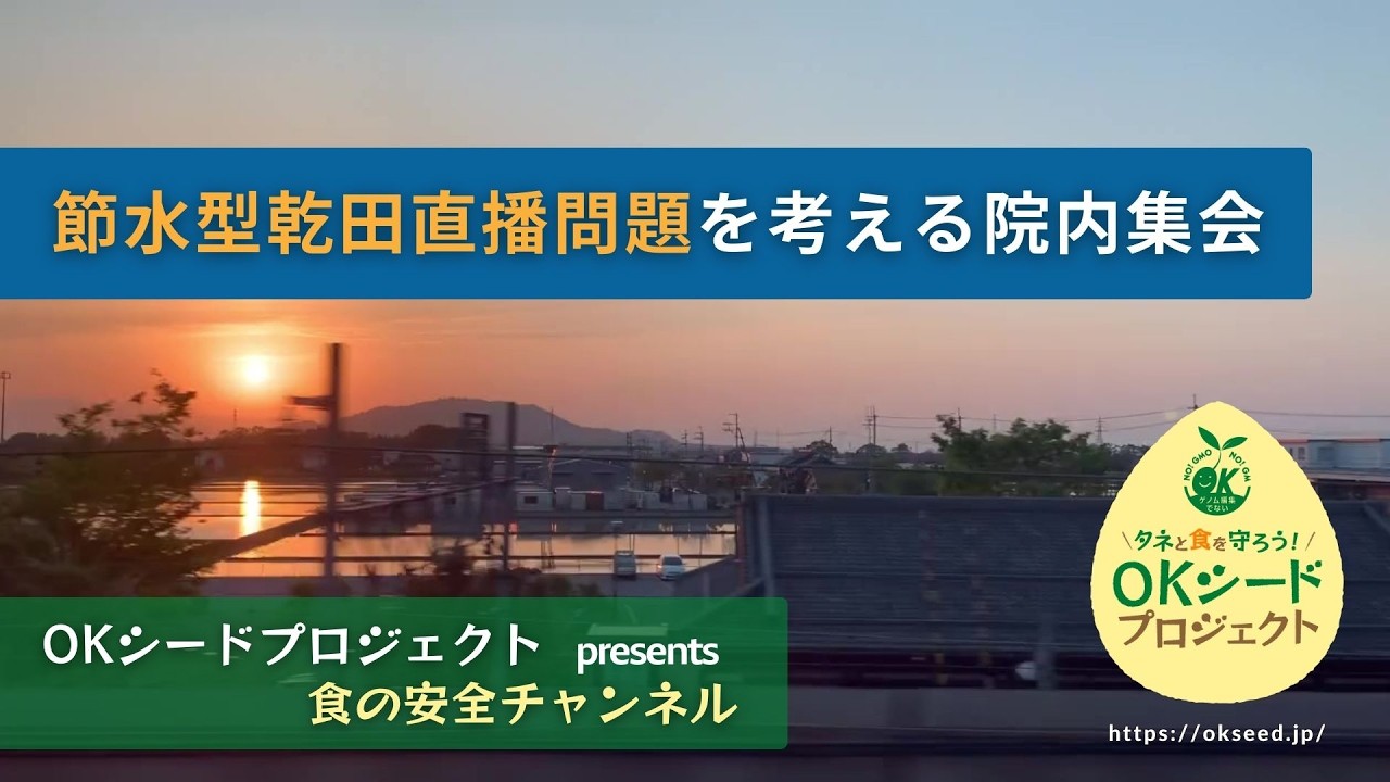 乾田直播問題を考える院内集会（2026年2月24日開催）