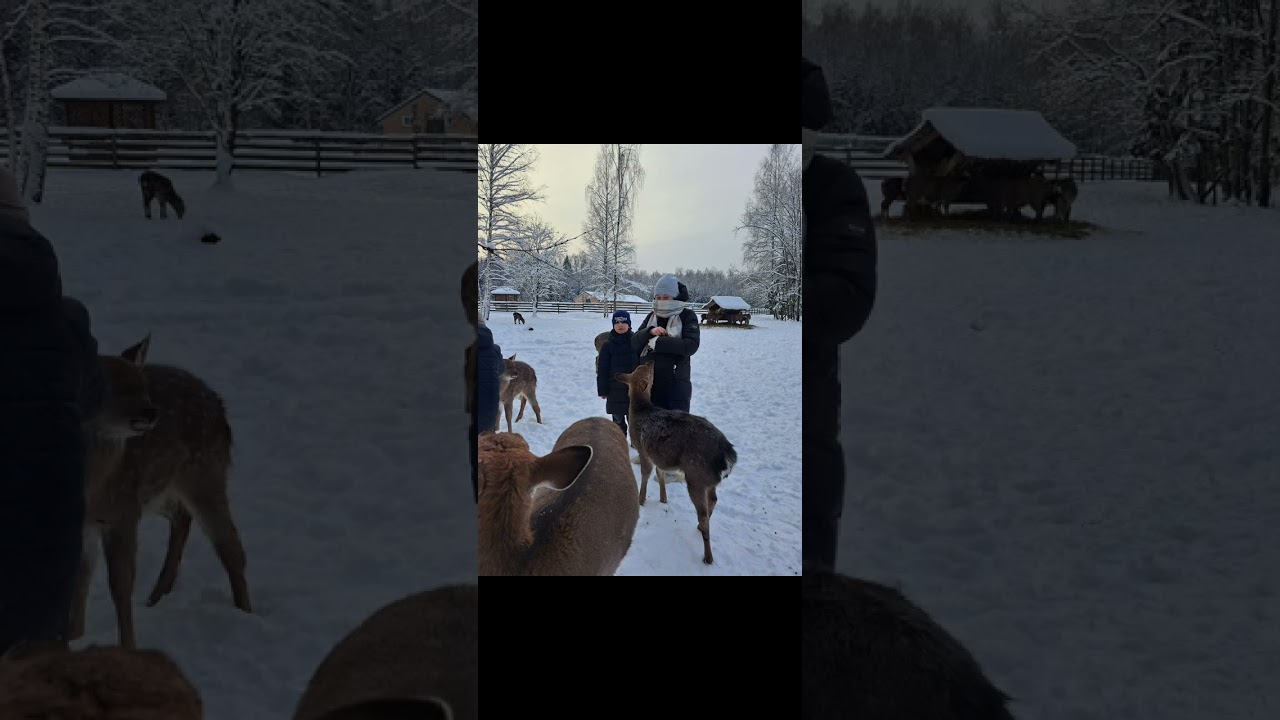 Арт-усадьба 