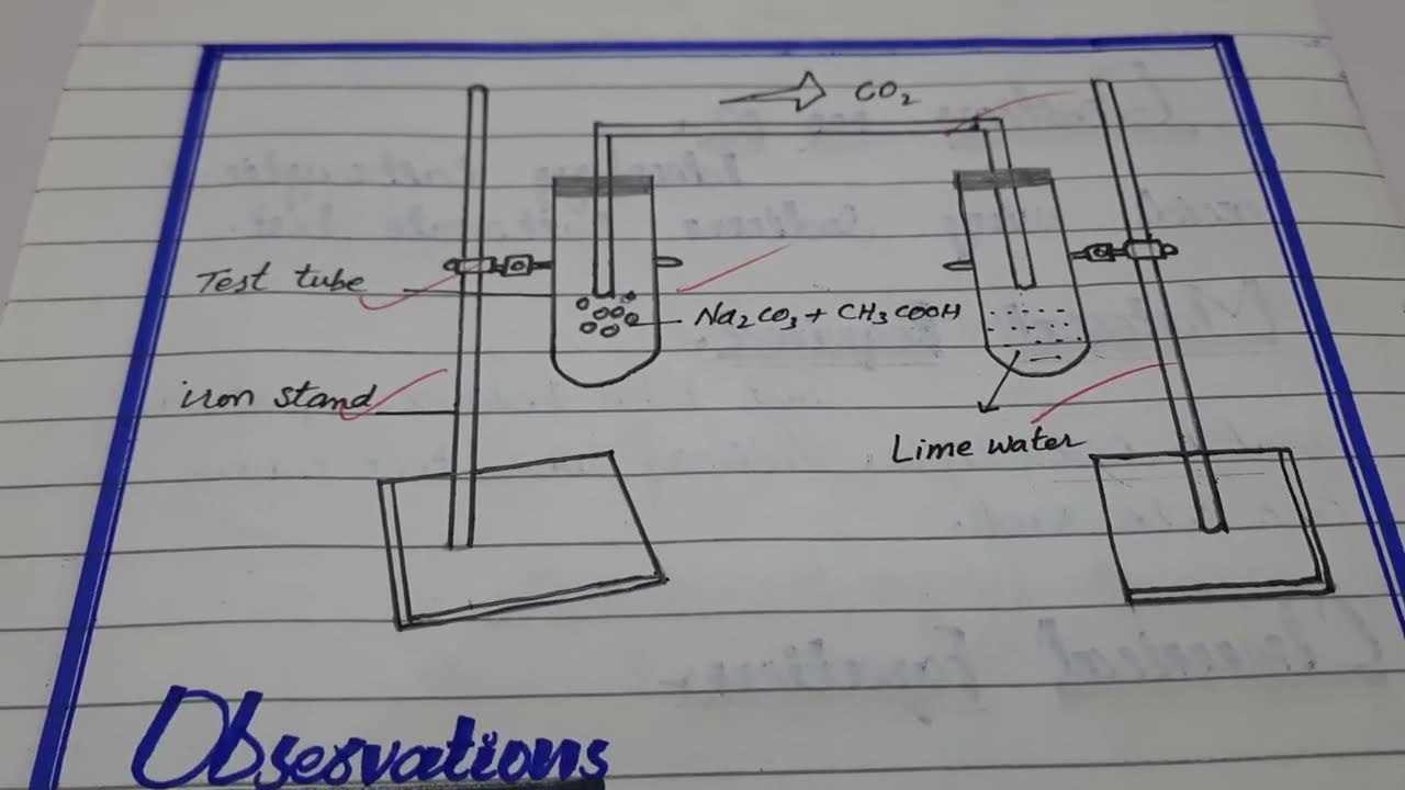 How to write Chemistry practical in board exam||Class 10th||Practical tips||Model Practical solution
