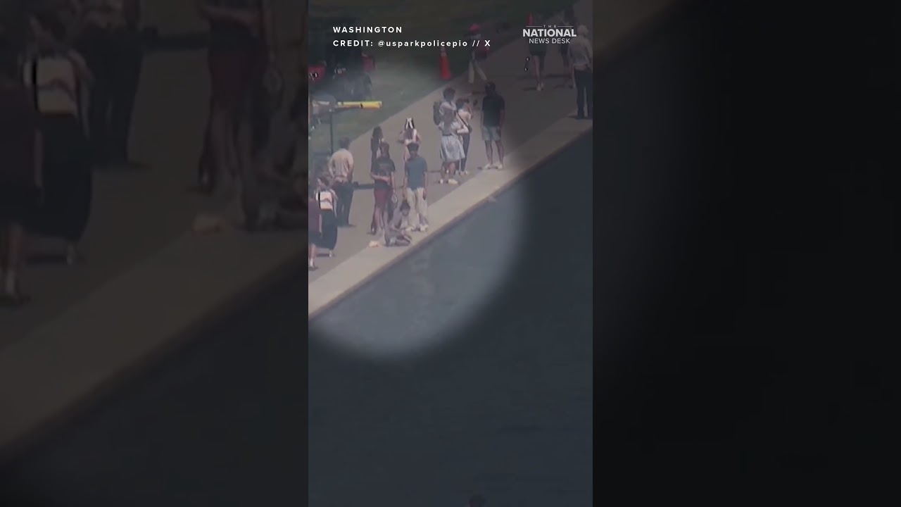 Video shows ALLEGED VANDALISM at Reflecting Pool