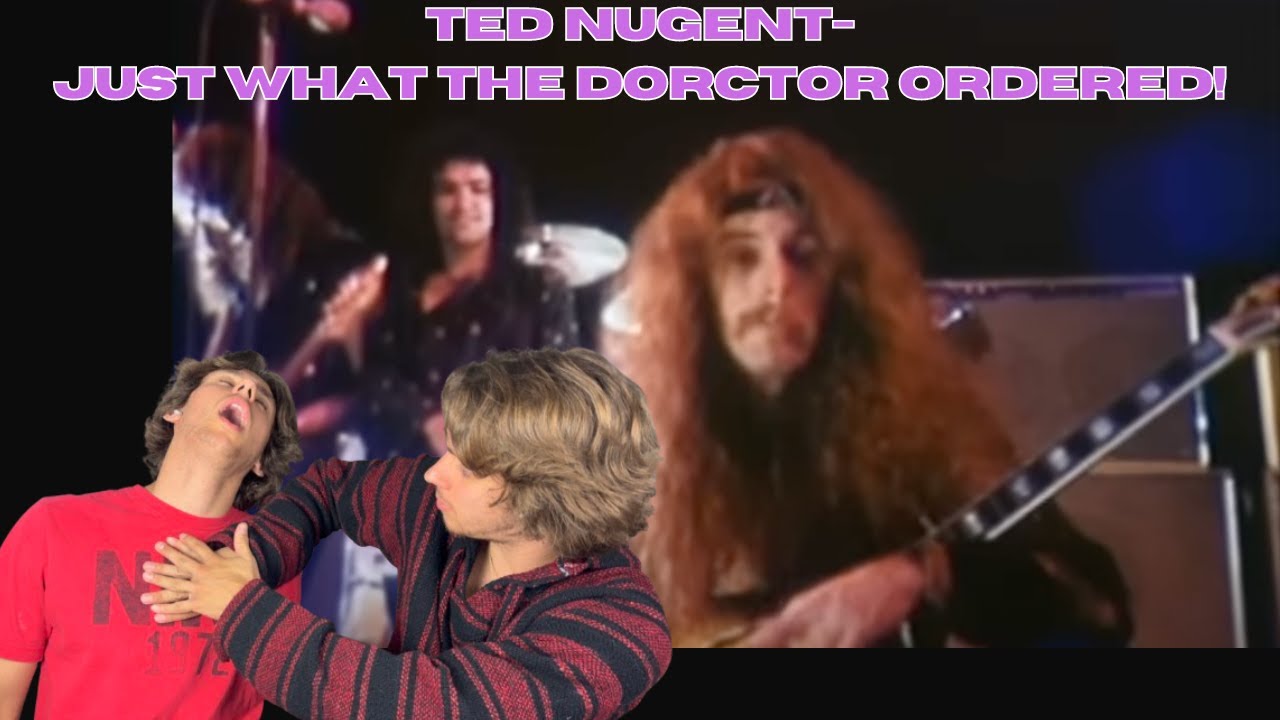 IS IT PLAYLIST WORTHY?| Twins React to Ted Nugent- Just What The Doctor Ordered!