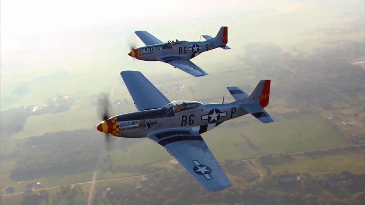 ОБЗОР БОЕВЫХ ПТИЦ