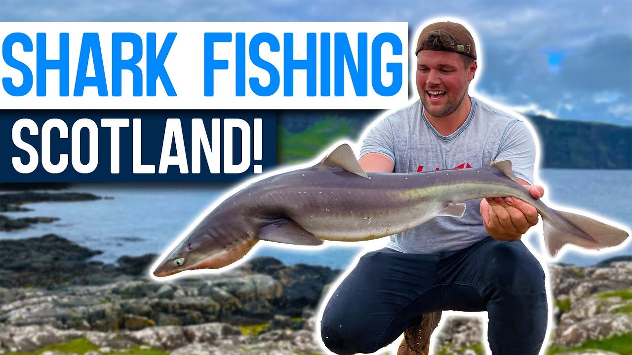 SHARK FISHING from the SHORE in Scotland! New PB'S!