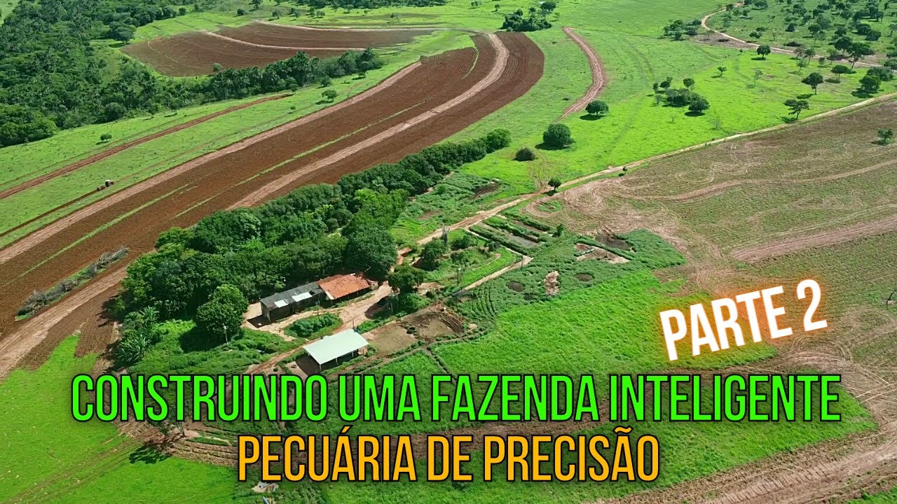 COMO COMEÇAR UM PROJETO FAZENDA DE PECUÁRIA DO ZERO? Parte 2