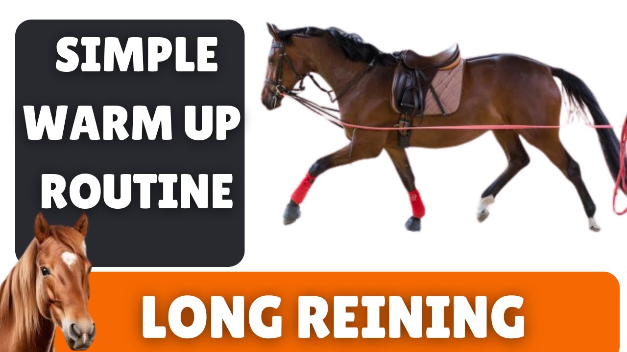 Horse Warm Up Routine on the Long reins