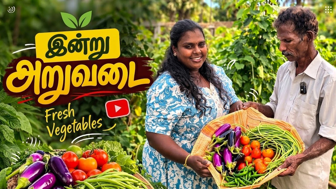 ஐயாவின் முயற்சிக்கு கோடி கொடுத்தாலும் போதாது | agriculture farme | our village life ♥️ | vanni vlog 