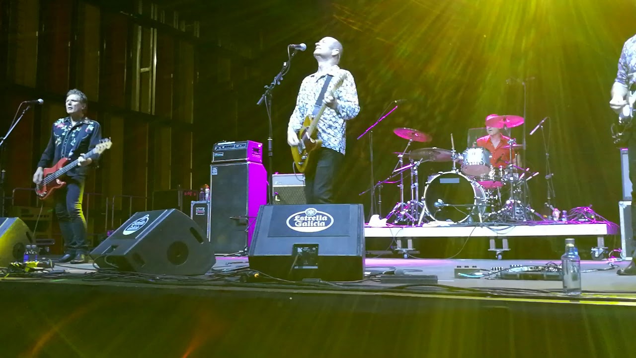 Hoodoo Gurus - 