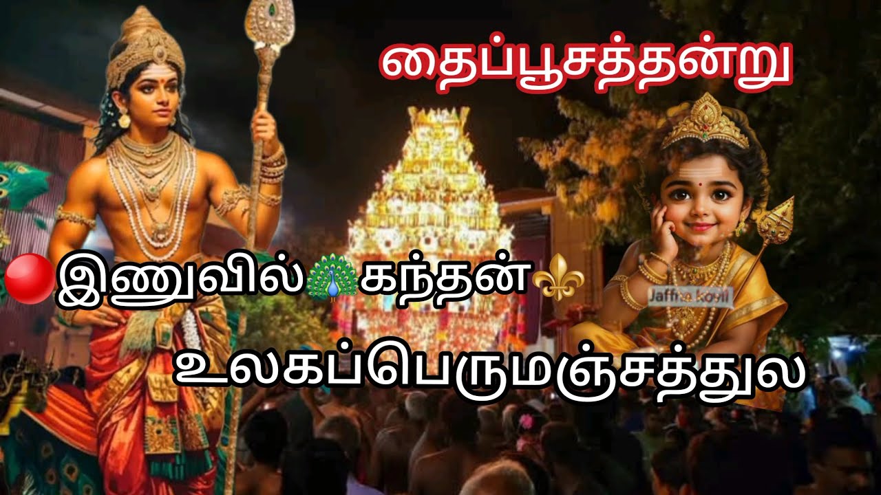 🦚உலகப்😮பெருமஞ்சத்துல🙏01 பெப்ரவரி🫣இணுவில்🥰கந்தன் |#inuvil #thaipusam2026 