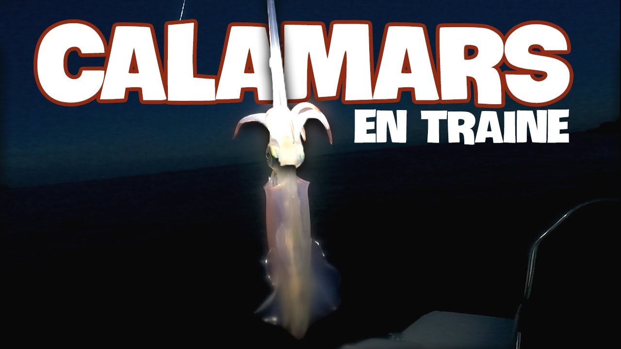 Calamars en traîne lente (+ Squid cooking)