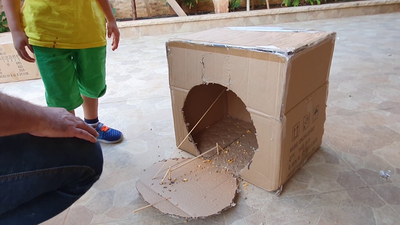 Самый простой способ поймать голубей Шофу сюрприз !!