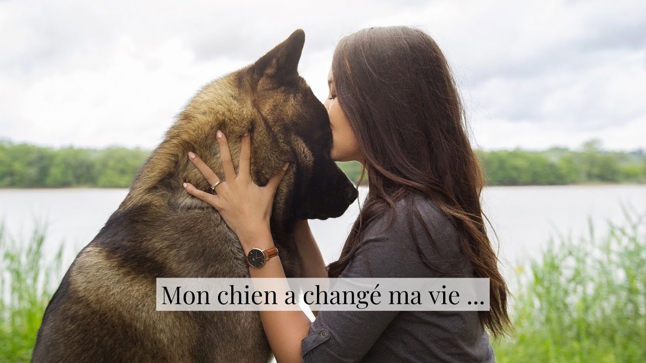 MON CHIEN A CHANGÉ MA VIE || Malcolm The Akita